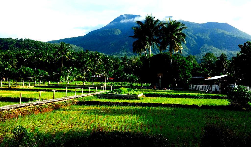 Guerrera Rice Paddy Villas Мамбахао Экстерьер фото