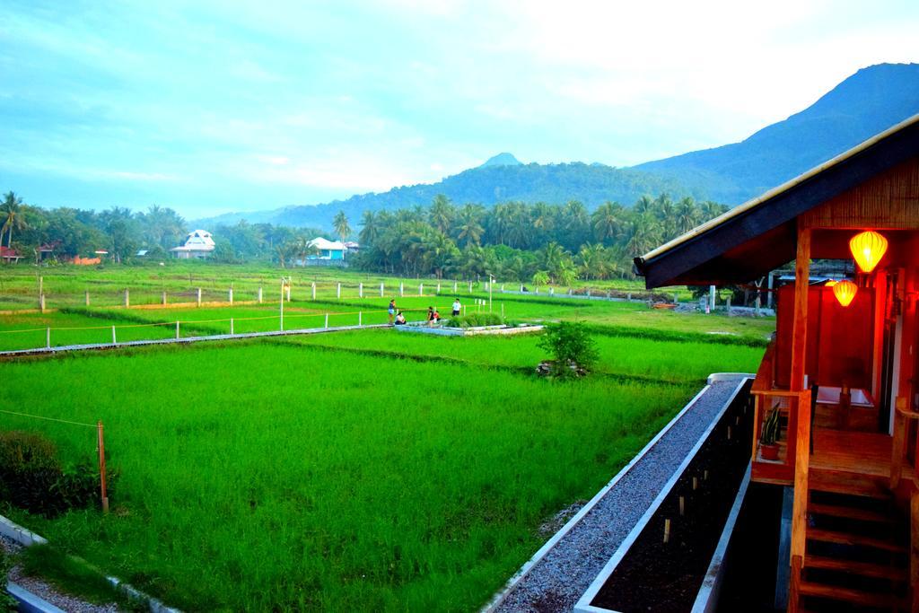 Guerrera Rice Paddy Villas Мамбахао Экстерьер фото