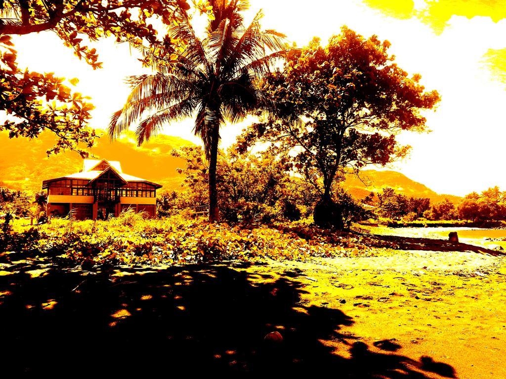 Guerrera Rice Paddy Villas Мамбахао Экстерьер фото