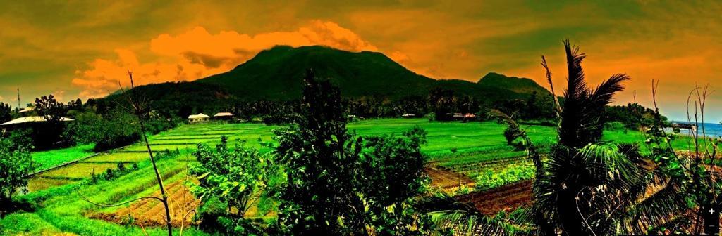 Guerrera Rice Paddy Villas Мамбахао Экстерьер фото