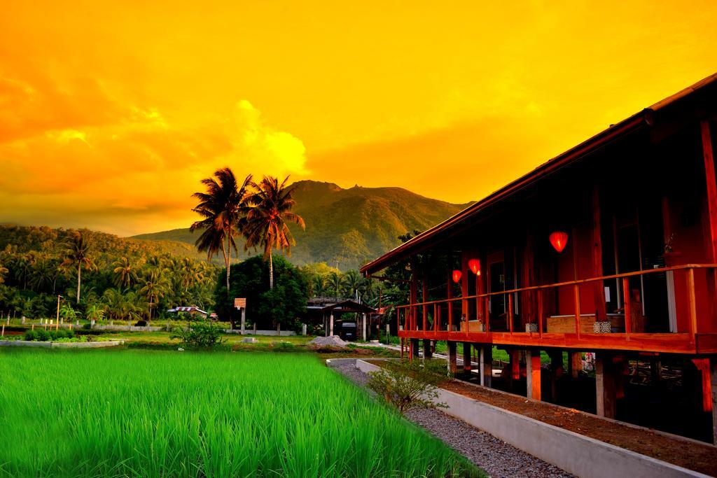 Guerrera Rice Paddy Villas Мамбахао Экстерьер фото