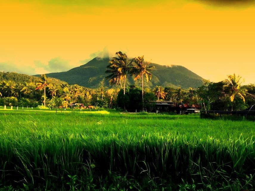 Guerrera Rice Paddy Villas Мамбахао Экстерьер фото