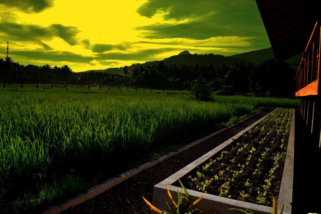 Guerrera Rice Paddy Villas Мамбахао Экстерьер фото