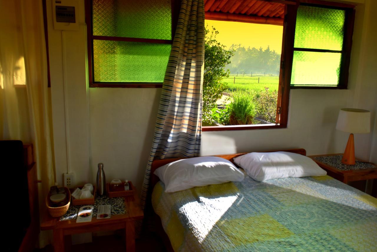 Guerrera Rice Paddy Villas Мамбахао Экстерьер фото