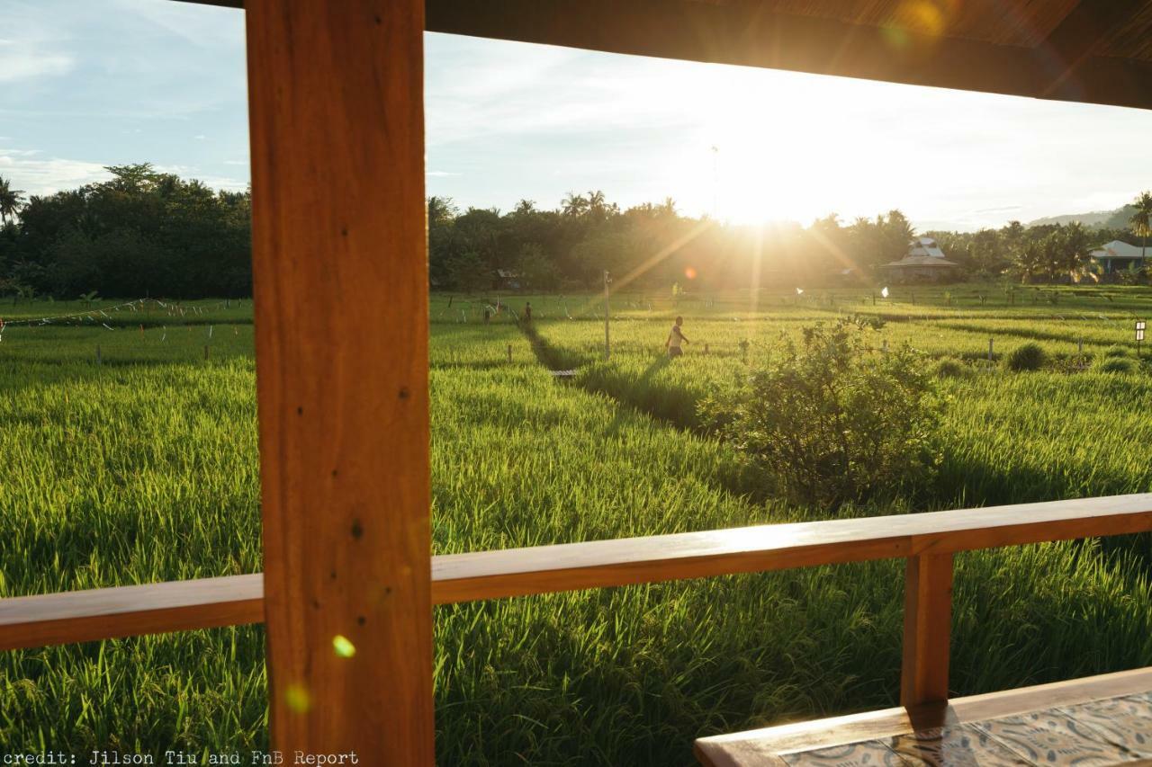 Guerrera Rice Paddy Villas Мамбахао Экстерьер фото